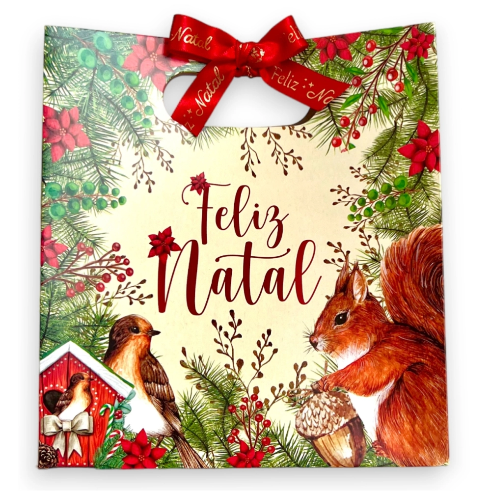 10 Sacolas 17x10 - Coleção Encantos de Natal